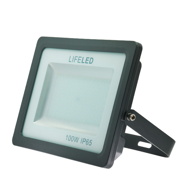 FLOOD-LIGHT-F-10-100W-640