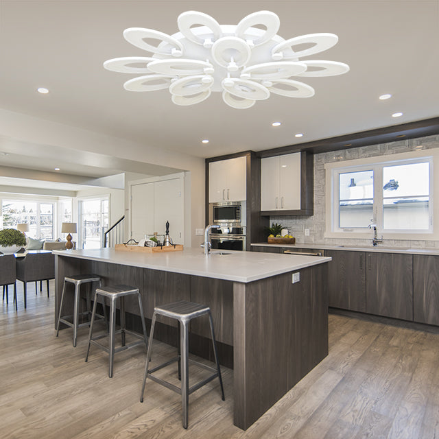 DAISY STYLE CHANGEABLE/DIMMABLE CEILING