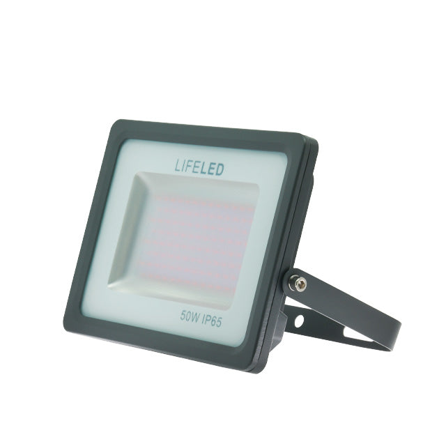 FLOOD LIGHT F-10-50W-RED