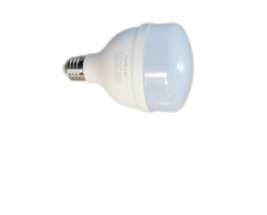 PUB-BULB